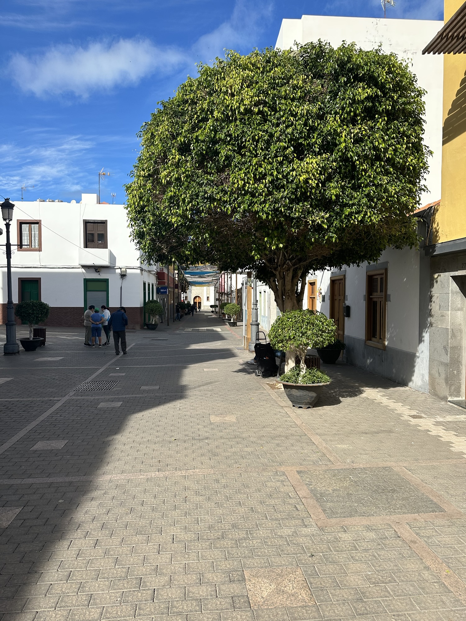 Flott sightseeing dag til La Aldea San Nicolás og Cactualdea