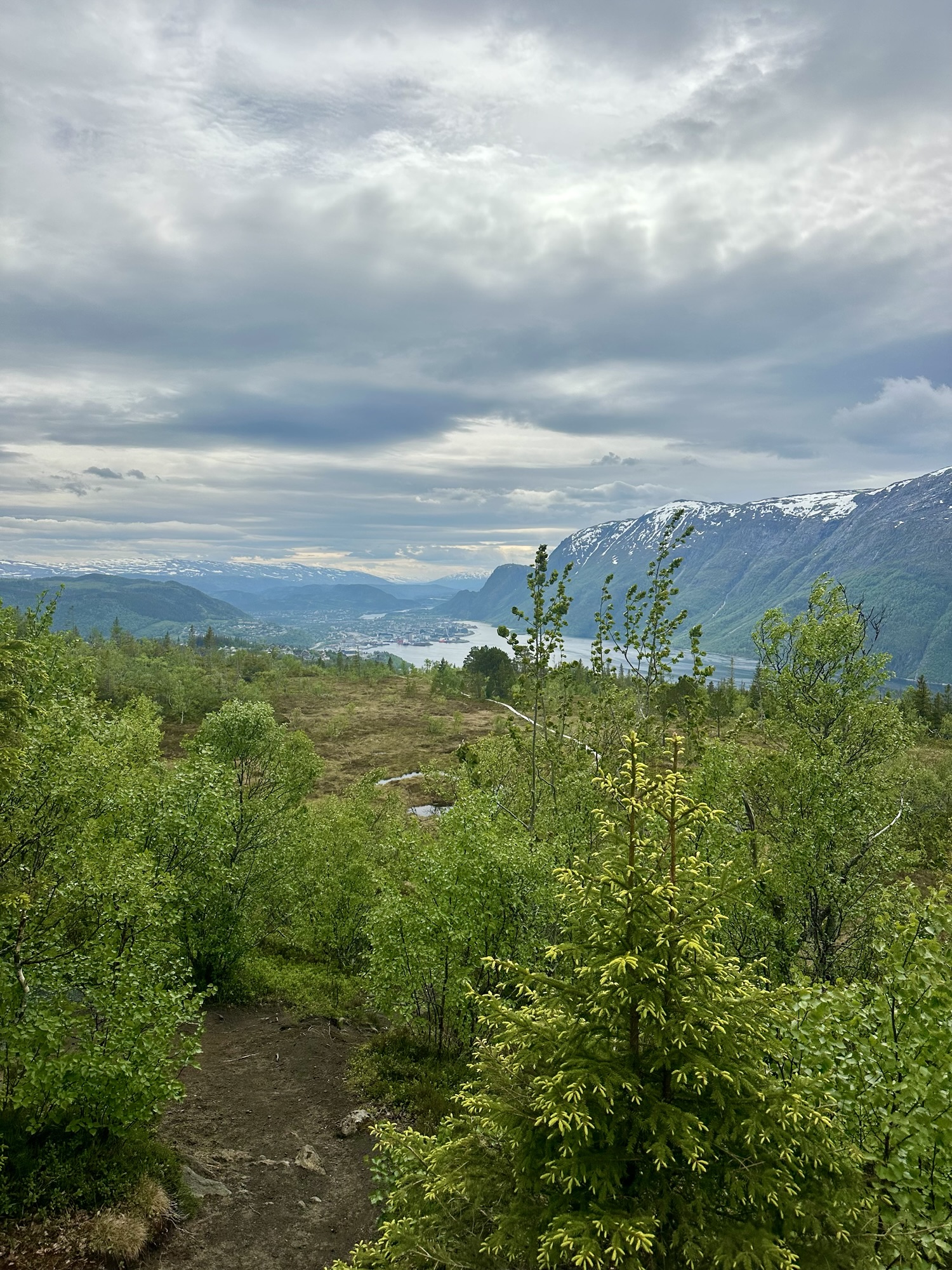 Tur til Hjartåsen